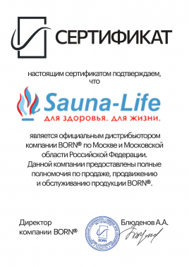Пульт управления BORN CP-mini 24